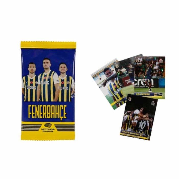 FENERBAHÇE MOMENTS 2023-24 SEZONU