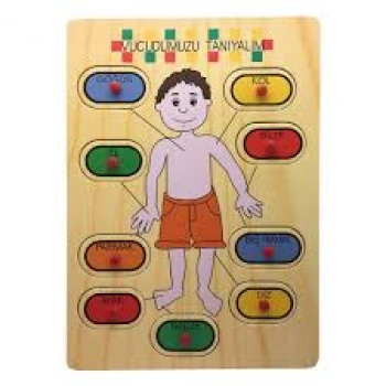 BU-BU AHŞAP PUZZLE VÜCUT PARÇALARI