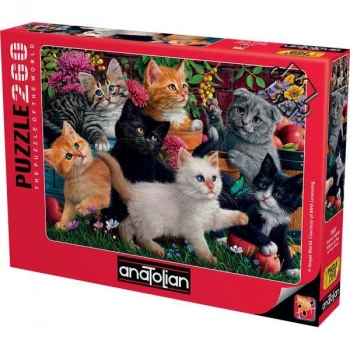 ANATOLİAN OYUNCU KEDİLER / KITTENS AT PLAY PUZZLE