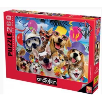 ANATOLİAN PLAJ SELFİSİ / BEACH PARTY SELFIE