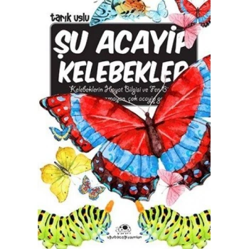 ŞU ACAYİP KELEBEKLER