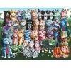 ANATOLİAN Aile Toplantısı / Cat Family Reunion1000 pcs