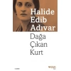 Dağa Çıkan Kurt