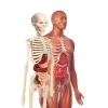 İlk Keşiflerim - İnsan Anatomisi