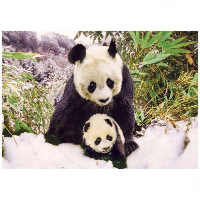 10109_Panda Mother 100