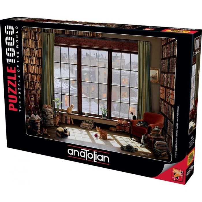 ANATOLİAN Pencere Kedileri / Window Cats1000 pcs