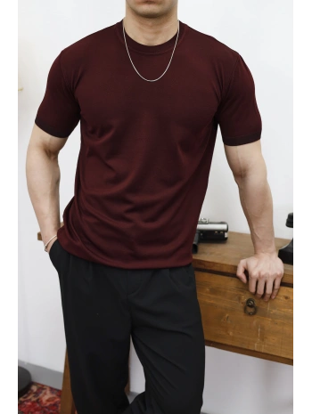 Triko Regular Fit Mürdüm T-Shirt