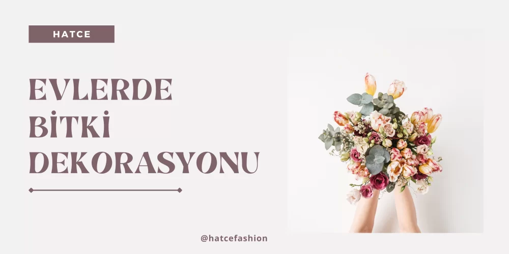 Evlerde Bitki Dekorasyonu