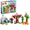 Lego Duplo Vahşi Asya Hayvanları 10974