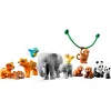 Lego Duplo Vahşi Asya Hayvanları 10974