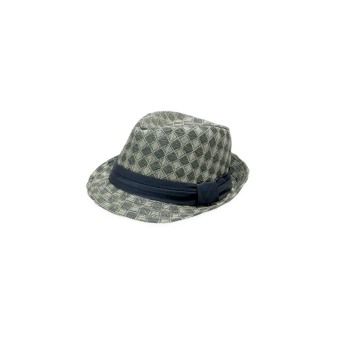 Kareli Erkek Fötr Şapka 1569