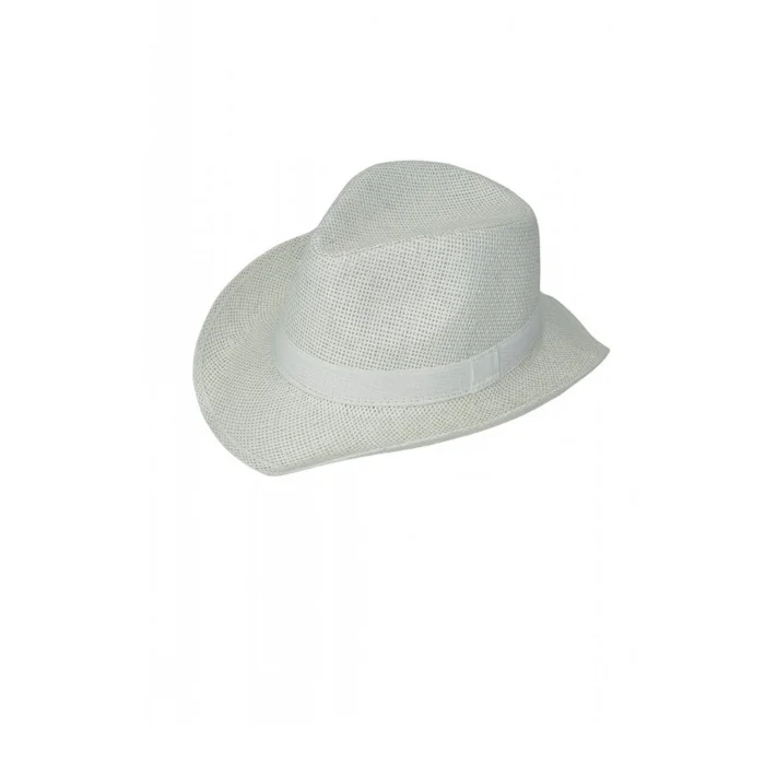 Kovboy Fötr Kadın Şapka 6251