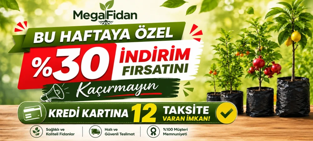 Manşet 2