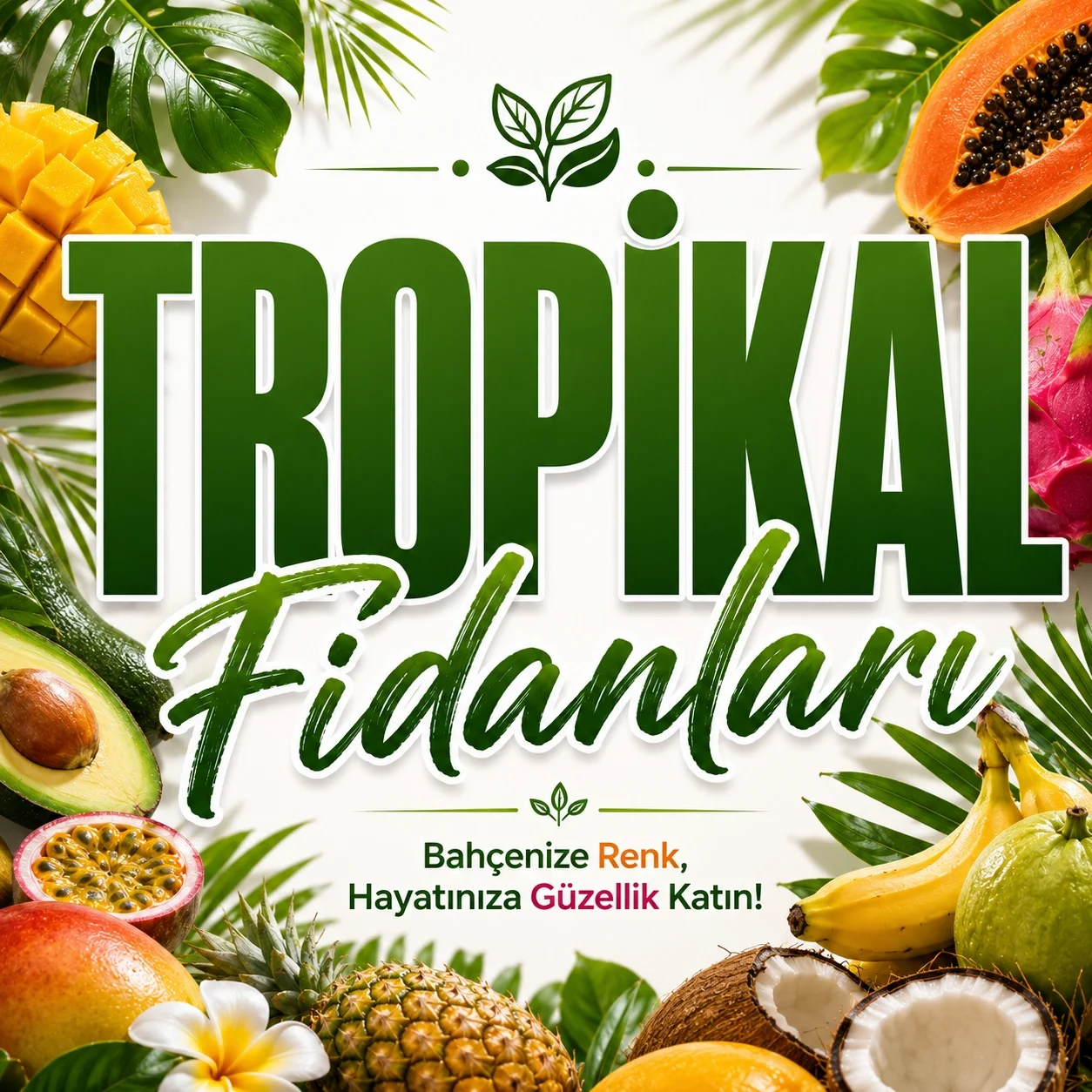Tropikal Fidanları