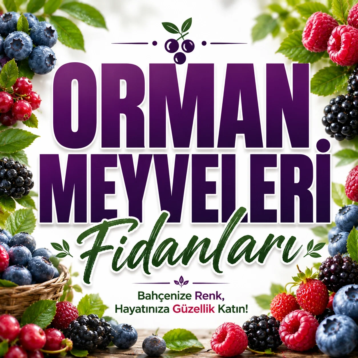 Orman Meyve Fidanları
