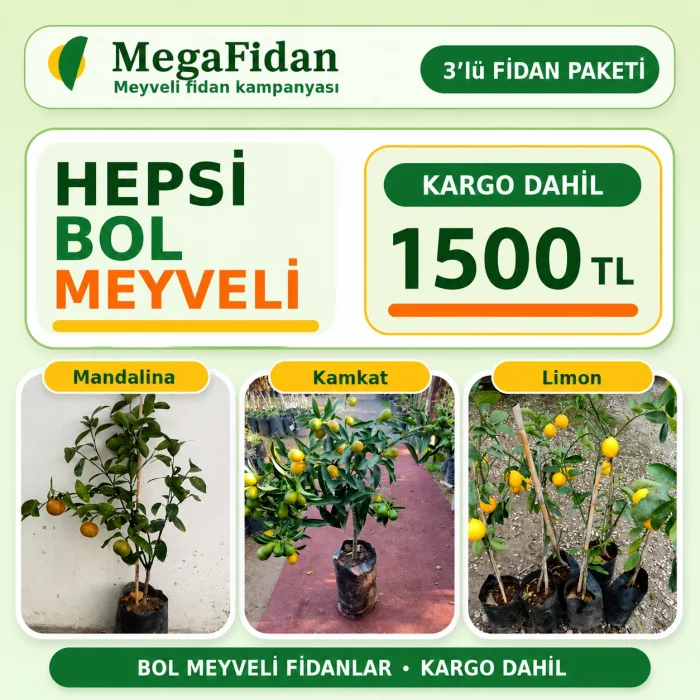3lü Bodur Narenciyeye Kampanya Seti