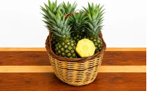Ananas Fidanları