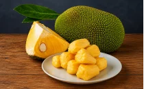 Jackfruit Fidanları