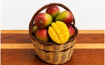 Mango Fidanları