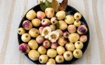 Murt (Hambeles) Fidanları