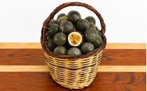 Passiflora (Çarkıfelek) Fidanları