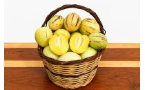 Pepino Fidanları