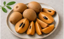 Sapodilla Fidanları