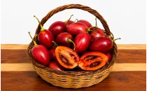 Tamarillo (Ağaç Domatesi) Fidanları