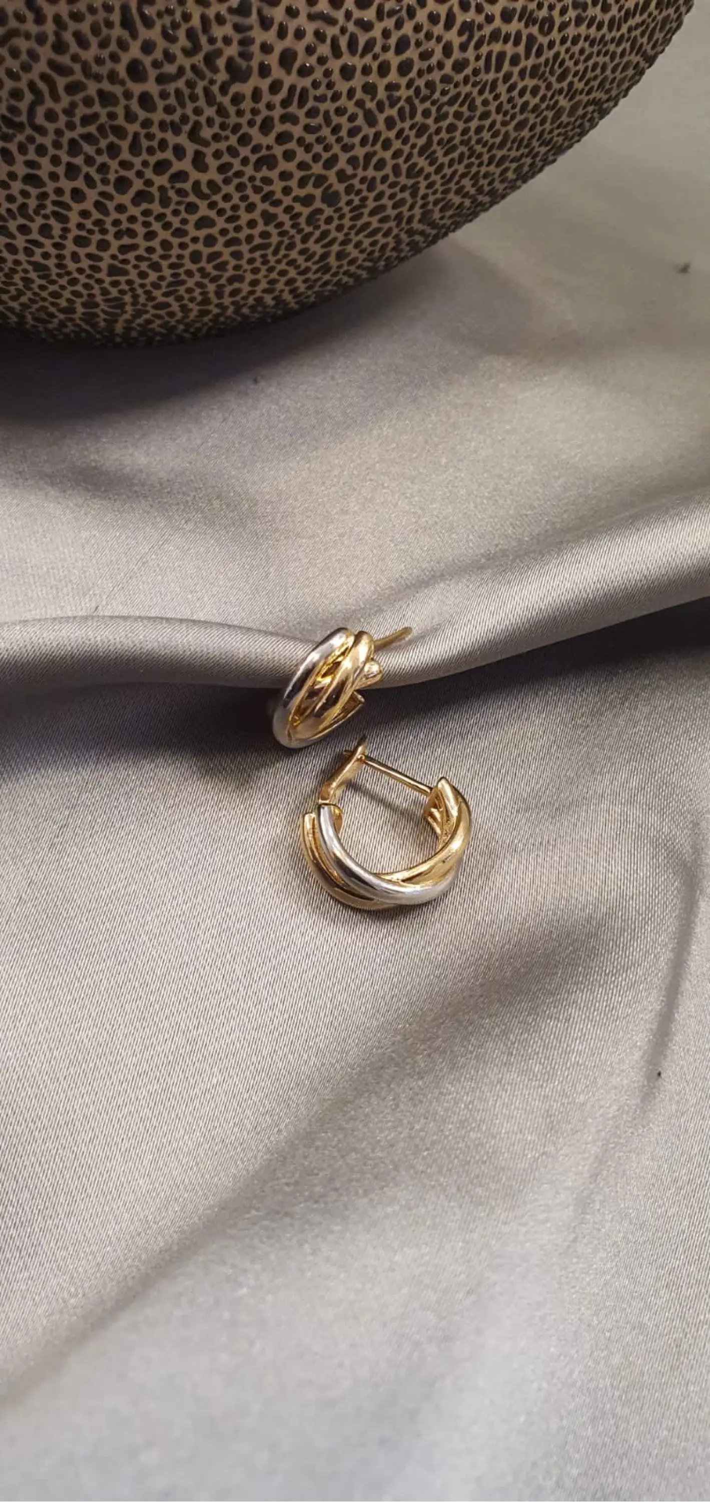 Lonbg Çift Renk Küpe