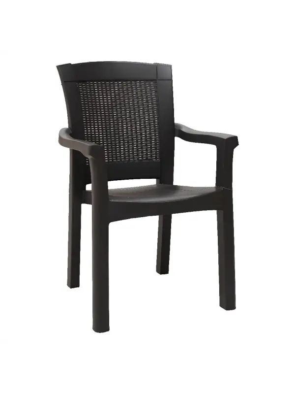 Daystone Elegance Kollu Sandalye Kahve (gardenya)