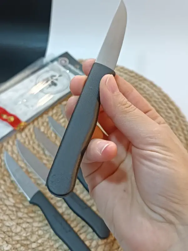 Sürdövbisa 61010 6lı Meyve Seti (Sivri Uç ) Siyah