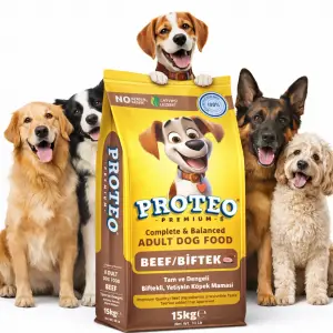 Proteo Premium Biftekli Yetişkin Köpek Maması 15 Kg – Tüm Irklar İçin Tam & Dengeli
