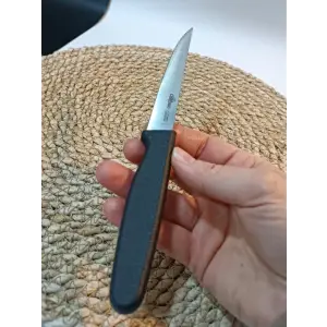 Chefsun Sebze / Meyve Bıçağı 1 Adet Siyah