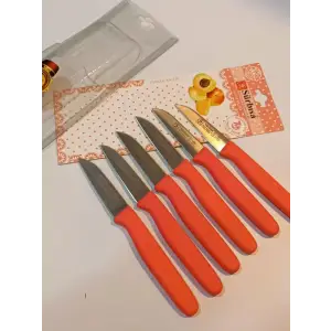 Sürbisa Meyve Takımı Turuncu (6lı)61007 7.0 cm