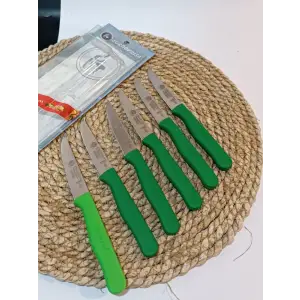 Sürdövbisa 61010 6lı Meyve Seti (Sivri Uç ) Koyu Yeşil