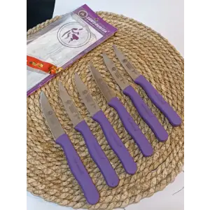 Sürdövbisa 61010 6lı Meyve Seti (Sivri Uç ) Mor
