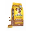 Proteo Premium Biftekli Yetişkin Köpek Maması 15 Kg – Tüm Irklar İçin Tam & Dengeli