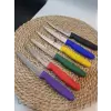 Sebze Meyve Sebze Bıçağı Seti 3 Adet Sürmene Chefsun 9cm