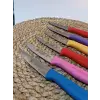Sürdövbisa 61010 6lı Meyve Seti (Sivri Uç ) Karma