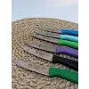 Sürdövbisa 61010 6lı Meyve Seti (Sivri Uç ) Karma