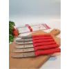 Sürdövbisa 61010 6lı Meyve Seti (Sivri Uç ) Kırmızı