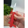 Sürdövbisa 61010 6lı Meyve Seti (Sivri Uç ) Kırmızı
