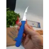 Sürdövbisa 61010 6lı Meyve Seti (Sivri Uç ) Mavi