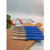 Sürdövbisa 61010 6lı Meyve Seti (Sivri Uç ) Mavi