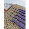 Sürdövbisa 61010 6lı Meyve Seti (Sivri Uç ) Mor