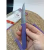 Sürdövbisa 61010 6lı Meyve Seti (Sivri Uç ) Mor