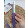 Sürdövbisa 61010 6lı Meyve Seti (Sivri Uç ) Mor