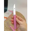 Sürdövbisa 61010 6lı Meyve Seti (Sivri Uç ) Pembe