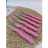 Sürdövbisa 61010 6lı Meyve Seti (Sivri Uç ) Pembe