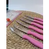 Sürdövbisa 61010 6lı Meyve Seti (Sivri Uç ) Pembe